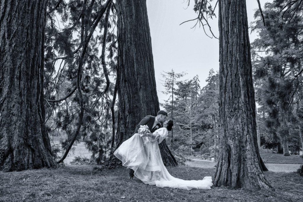 Meilleur Photographe de mariage Genève