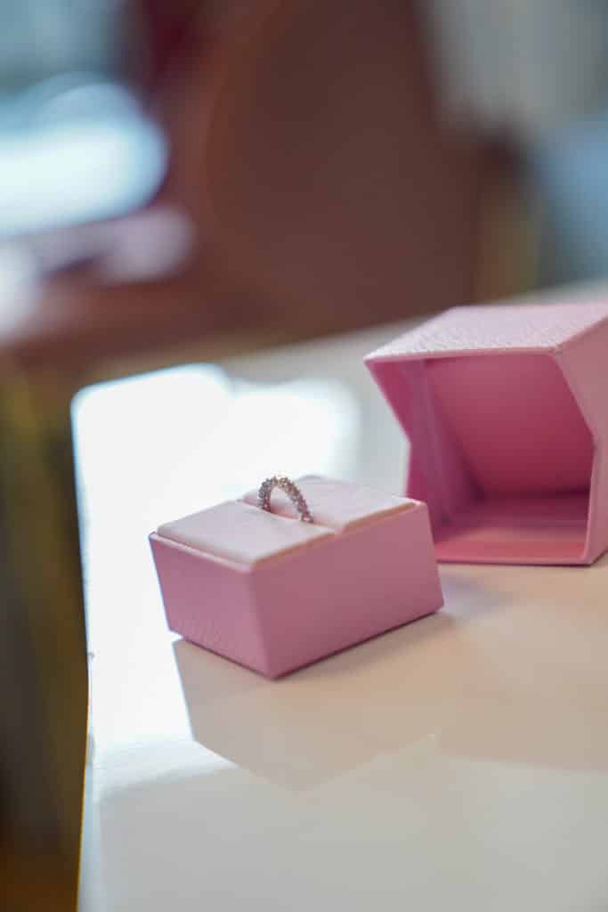 Photographe mariage Geneve