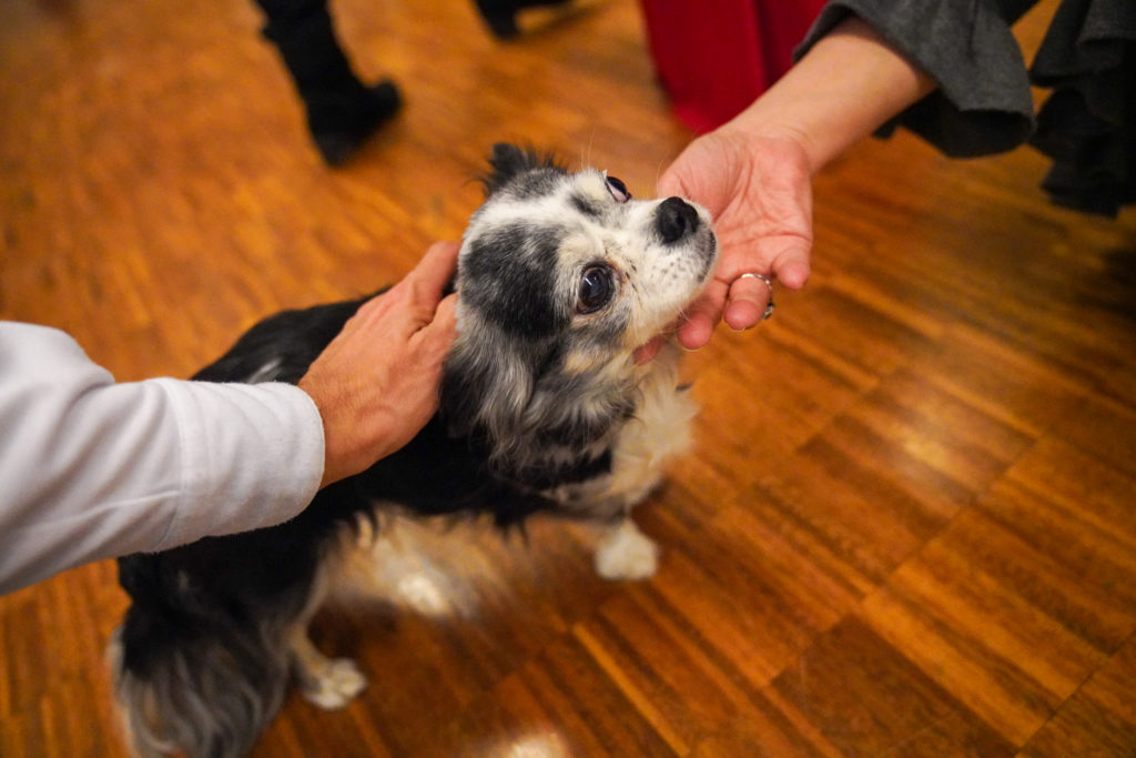 Photographe mariage à Geneve