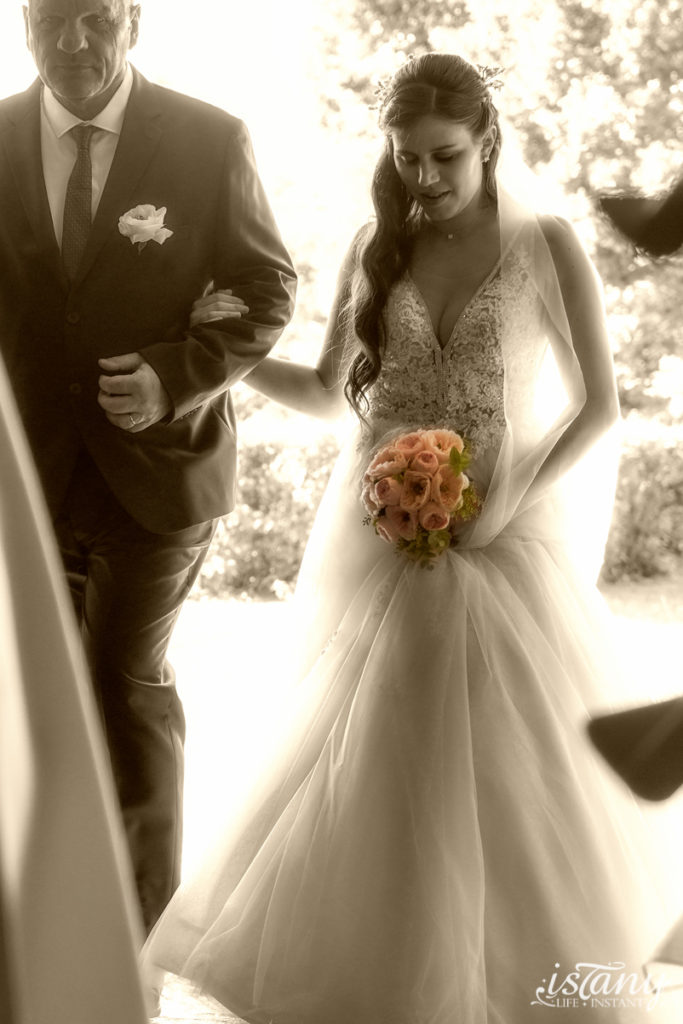 Photographe mariage genève