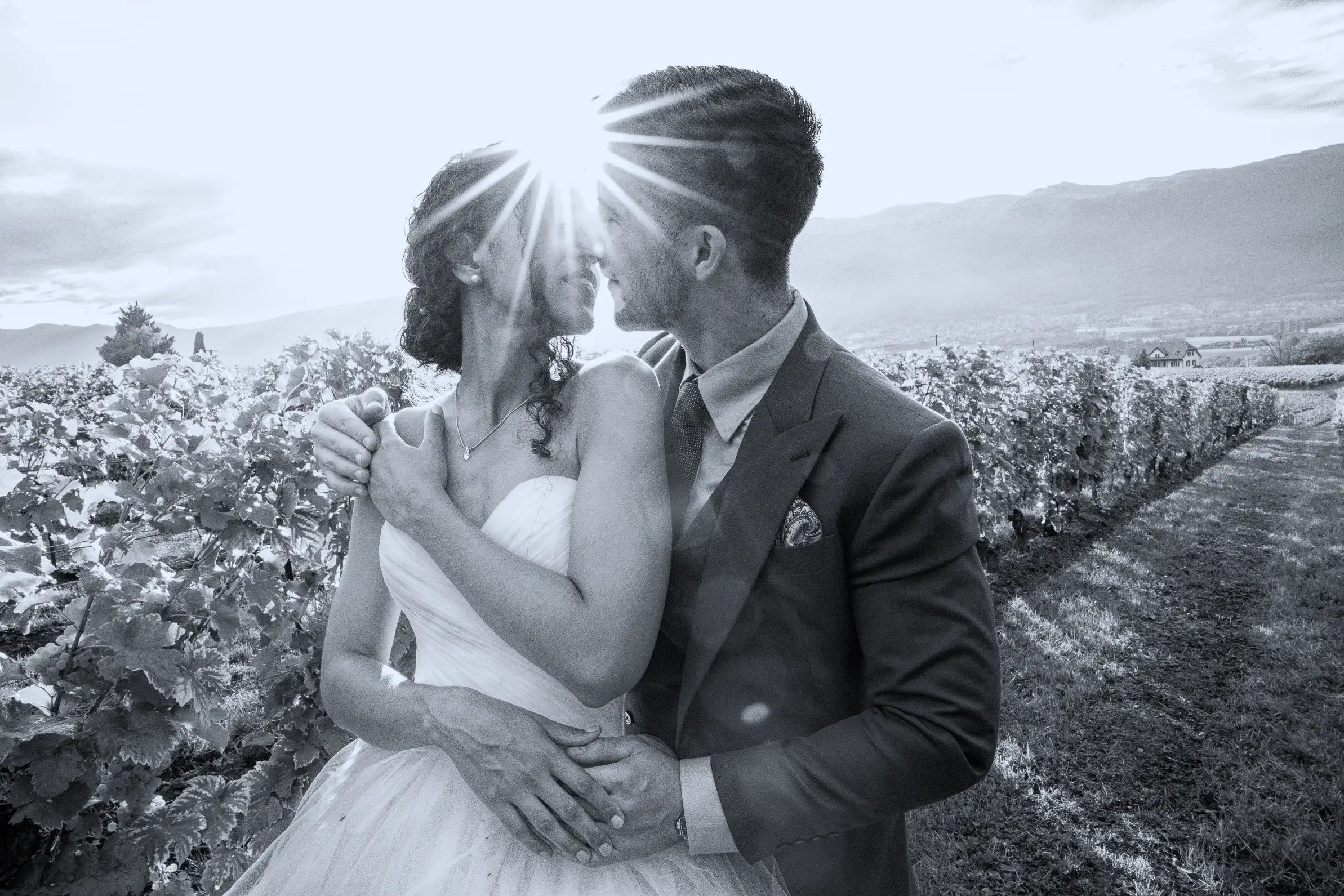 Séance d'engagement couple vignes Suisse – ISTANY